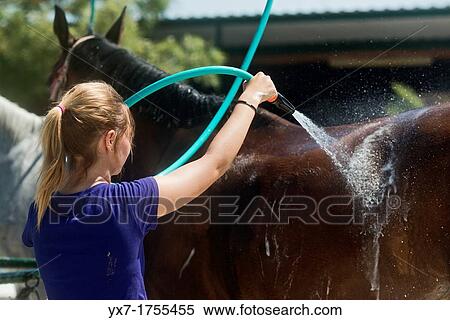 Stock Photography - Animal. Fotosearch