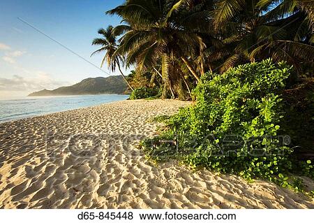 Anse Marie-Louise beach at dawn, Mahe island, Seychelles View Large Photo Image Stock Photo - Anse Marie-Louise beach at dawn, Mahe island, Seychelles. Fotosearch