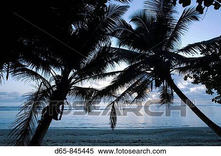 Anse Marie-Louise beach at dawn, Mahe island, Seychelles View Large Photo Image Stock Photography - Anse Marie-Louise beach at dawn, Mahe island, Seychelles. Fotosearch