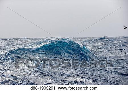 Antarctic, Ocean between Falklands Islands and South Georgia, South Georgia, Waves View Large Photo Image Stock Image - Antarctic, Ocean between Falklands Islands and South Georgia, South Georgia, Waves. Fotosearch