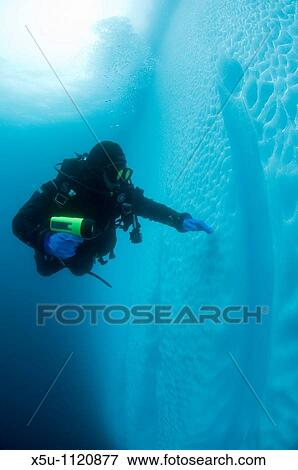 Antarctic peninsula diver and iceberg underwater View Large Photo Image Stock Photo - Antarctic peninsula diver and iceberg underwater. Fotosearch