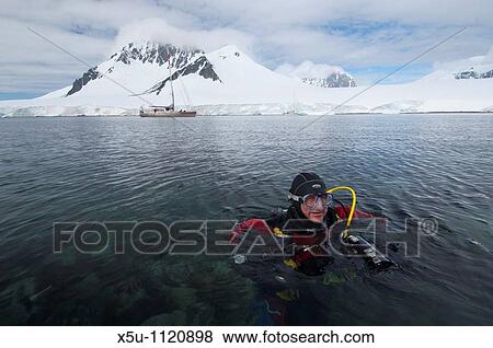 Antarctic peninsula diver and iceberg underwater View Large Photo Image Stock Photo - Antarctic peninsula diver and iceberg underwater. Fotosearch