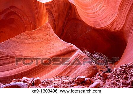 Antelope Canyon Probably the most visited and photographed slot canyon in the South West The light enter into the narrow canyon walls creating beautiful colours in the sanstone rock Upper Antelope Canyon Navajo Nation, Arizona, USA View Large Photo Image Stock Photograph - Antelope Canyon Probably the most visited and photographed slot canyon in the South West The light enter into the narrow canyon walls creating beautiful colours in the sanstone rock Upper Antelope Canyon Navajo Nation, Arizona, USA. Fotosearch