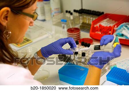 Antibiogram, Antibiotic Sensitivity Test, Microbiology Department, Donostia Hospital, San Sebastian, Donostia, Gipuzkoa, Basque Country, Spain View Large Photo Image Stock Image - Antibiogram, Antibiotic Sensitivity Test, Microbiology Department, Donostia Hospital, San Sebastian, Donostia, Gipuzkoa, Basque Country, Spain. Fotosearch