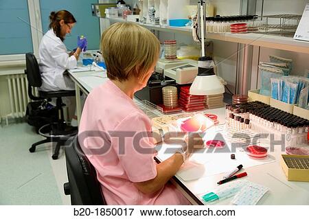 Antibiogram, Antibiotic Sensitivity Test, Microbiology Department, Donostia Hospital, San Sebastian, Donostia, Gipuzkoa, Basque Country, Spain View Large Photo Image Stock Photo - Antibiogram, Antibiotic Sensitivity Test, Microbiology Department, Donostia Hospital, San Sebastian, Donostia, Gipuzkoa, Basque Country, Spain. Fotosearch