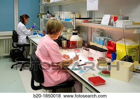 Antibiogram, Antibiotic Sensitivity Test, Microbiology Department, Donostia Hospital, San Sebastian, Donostia, Gipuzkoa, Basque Country, Spain View Large Photo Image Stock Photo - Antibiogram, Antibiotic Sensitivity Test, Microbiology Department, Donostia Hospital, San Sebastian, Donostia, Gipuzkoa, Basque Country, Spain. Fotosearch