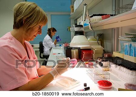 Antibiogram, Antibiotic Sensitivity Test, Microbiology Department, Donostia Hospital, San Sebastian, Donostia, Gipuzkoa, Basque Country, Spain View Large Photo Image Stock Photo - Antibiogram, Antibiotic Sensitivity Test, Microbiology Department, Donostia Hospital, San Sebastian, Donostia, Gipuzkoa, Basque Country, Spain. Fotosearch