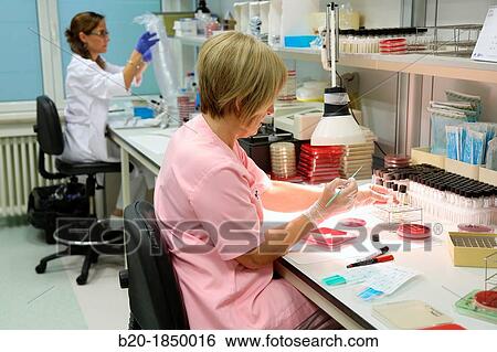 Antibiogram, Antibiotic Sensitivity Test, Microbiology Department, Donostia Hospital, San Sebastian, Donostia, Gipuzkoa, Basque Country, Spain View Large Photo Image Stock Photograph - Antibiogram, Antibiotic Sensitivity Test, Microbiology Department, Donostia Hospital, San Sebastian, Donostia, Gipuzkoa, Basque Country, Spain. Fotosearch