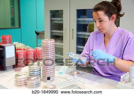 Antibiogram, urine specimens, Microbiology Department, Donostia Hospital, San Sebastian, Donostia, Gipuzkoa, Basque Country, Spain View Large Photo Image Stock Image - Antibiogram, urine specimens, Microbiology Department, Donostia Hospital, San Sebastian, Donostia, Gipuzkoa, Basque Country, Spain. Fotosearch