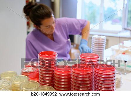 Antibiogram, urine specimens, Microbiology Department, Donostia Hospital, San Sebastian, Donostia, Gipuzkoa, Basque Country, Spain View Large Photo Image Stock Image - Antibiogram, urine specimens, Microbiology Department, Donostia Hospital, San Sebastian, Donostia, Gipuzkoa, Basque Country, Spain. Fotosearch