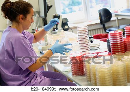 Antibiogram, urine specimens, Microbiology Department, Donostia Hospital, San Sebastian, Donostia, Gipuzkoa, Basque Country, Spain View Large Photo Image Stock Photography - Antibiogram, urine specimens, Microbiology Department, Donostia Hospital, San Sebastian, Donostia, Gipuzkoa, Basque Country, Spain. Fotosearch