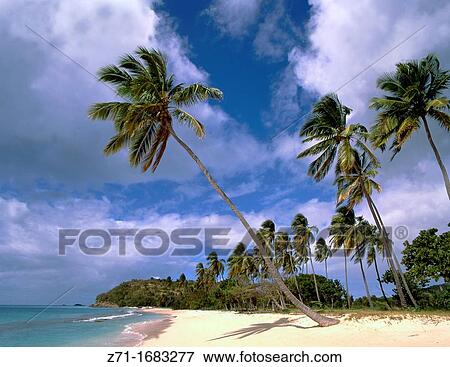 Antigua beach View Large Photo Image Stock Photo - Antigua beach. Fotosearch