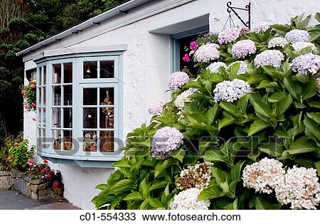 Antique dealer shop. Moulin Huet Bay. Guernsey. Channel Islands. Great Britain. View Large Photo Image Stock Image - Antique dealer shop. Moulin Huet Bay. Guernsey. Channel Islands. Great Britain.. Fotosearch