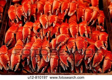 Any of various freshwater crustaceans of the generaCambarus and Astacus, resembling a lobster but considerably smaller Also called Regional crawdad, mudbug View Large Photo Image Stock Photo - Any of various freshwater crustaceans of the generaCambarus and Astacus, resembling a lobster but considerably smaller Also called Regional crawdad, mudbug. Fotosearch