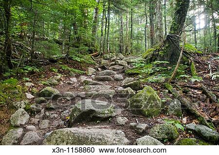 Appalachian trail at Mount Katahdin in Baxter State Park, Maine View Large Photo Image Stock Image - Appalachian trail at Mount Katahdin in Baxter State Park, Maine. Fotosearch