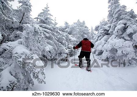 Appalachian Trail - Garfield Ridge Trail near the summit of Mount Garfield during the winter months Located in the White Mountains, New Hampshire USA Notes: View Large Photo Image Stock Image - Appalachian Trail - Garfield Ridge Trail near the summit of Mount Garfield during the winter months Located in the White Mountains, New Hampshire USA Notes:. Fotosearch