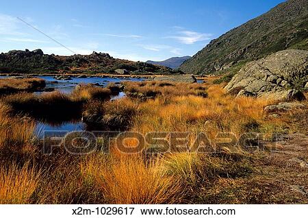 Stock Photo - Appalachian Trail - Star Lake with Mount Washington off in the distance Located in the White Mountains, New Hampshire USA Star Lake is a alpine pond. Fotosearch