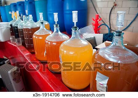 Apple juice fermenting at various rates at a hard cider distillery, Jefferson Maryland USA View Large Photo Image Stock Photograph - Apple juice fermenting at various rates at a hard cider distillery, Jefferson Maryland USA. Fotosearch
