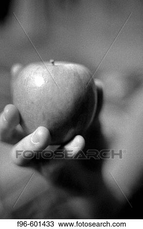 Apple View Large Photo Image Stock Image - Apple. Fotosearch