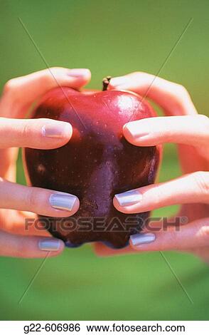 Apple View Large Photo Image Stock Photograph - Apple. Fotosearch