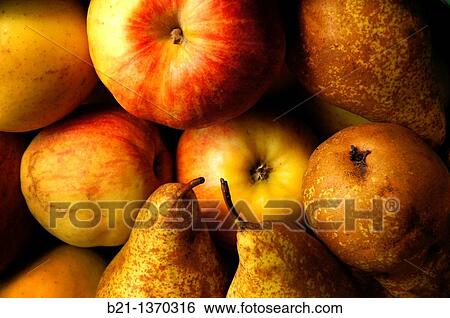 Apples and pears View Large Photo Image Stock Photograph - Apples and pears. Fotosearch