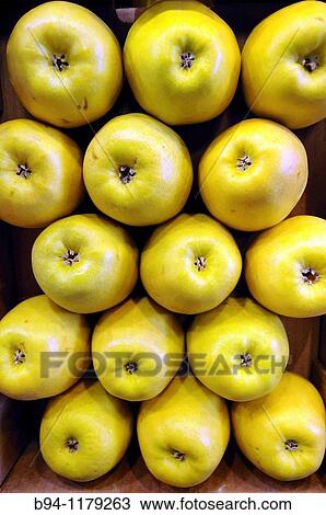 Stock Image - Apples at La Boqueria market, Barcelona, Catalonia, Spain. Fotosearch