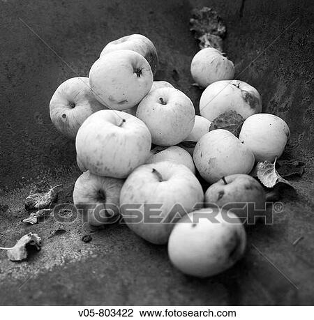 Apples View Large Photo Image Stock Image - Apples. Fotosearch