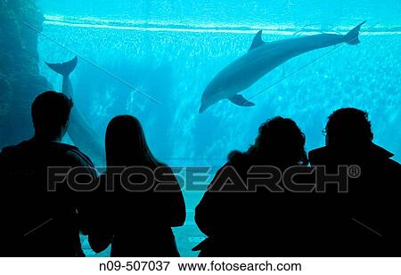 Aquarium. Genova, Liguria, Italy View Large Photo Image Stock Photo - Aquarium. Genova, Liguria, Italy. Fotosearch