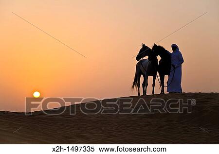 Arabian Horse in the Arabian Desert View Large Photo Image Stock Photography - Arabian Horse in the Arabian Desert. Fotosearch