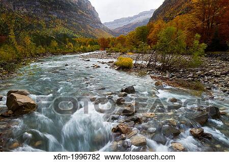 Arazas river and deciduous forest in autumn. View Large Photo Image Stock Image - Arazas river and deciduous forest in autumn.. Fotosearch