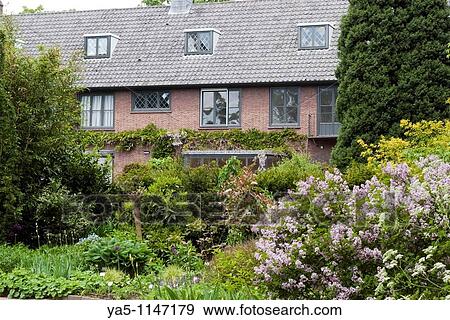 Stock Photo - Arboretum Trompemburg, Rotterdam, Netherlands. Fotosearch