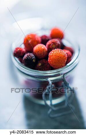 Arbutus berries. View Large Photo Image Stock Photography - Arbutus berries.. Fotosearch