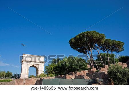 Arch of Titus, Roman Forum, Rome, Italy View Large Photo Image Stock Photography - Arch of Titus, Roman Forum, Rome, Italy. Fotosearch