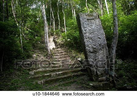 Archeological site Calakmul, Yucatan Peninsula, Mexico View Large Photo Image Stock Photograph - Archeological site Calakmul, Yucatan Peninsula, Mexico. Fotosearch