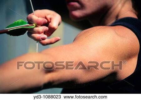 Stock Image - Archer drawing bow aiming at target, close up. Fotosearch