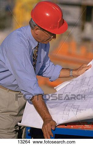 Architect looking plan View Large Photo Image Picture - Architect looking plan. Fotosearch