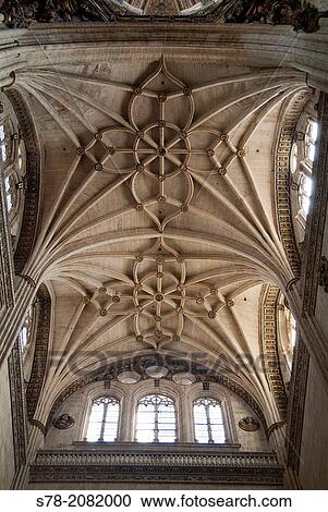 Stock Image - Architectural detail, transept of the New Cathedral (Cathedral of the Asunci? n de la Virgen) built in Late Gothic and Baroque styles (16th-18th century), Salamanca, Castilla-Leon, Spain. Fotosearch
