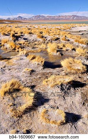 Stock Photo - Area near Laguna Verde (Green Lagoon), salt lake in the southwest of the altiplano of Bolivia, in the Potos? Department, Sur L? pez Province, on the Chilean border at the foot of the volcano Licancabur.. Fotosearch