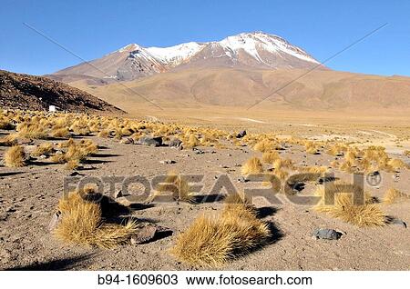 Area of Laguna Hedionda, saline lake in the Nor L? pez Province, Potos? Department in Bolivia. View Large Photo Image Stock Image - Area of Laguna Hedionda, saline lake in the Nor L? pez Province, Potos? Department in Bolivia.. Fotosearch