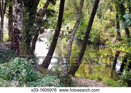 Arenal river in the Sierra de Gredos Arenas de San Pedro? vila Castilla Le? n Spain View Large Photo Image Stock Photograph - Arenal river in the Sierra de Gredos Arenas de San Pedro? vila Castilla Le? n Spain. Fotosearch