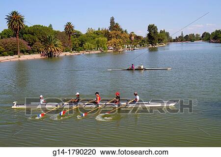 Stock Image - Argentina, Mendoza, Parque General San Martin, public park, Mendoza Regatta Club, rowing club, aquatic sports, artificial lake, water, Hispanic, man, crew, rower, oars, fitness, coxswain, quads, double, practice,. Fotosearch