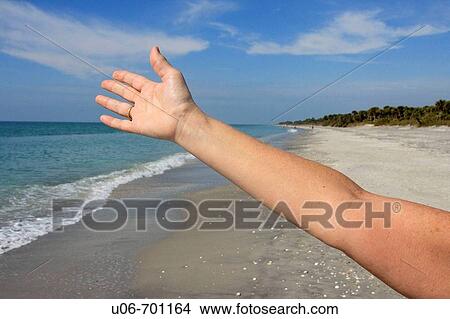 Arm greets the beach View Large Photo Image Picture - Arm greets the beach. Fotosearch