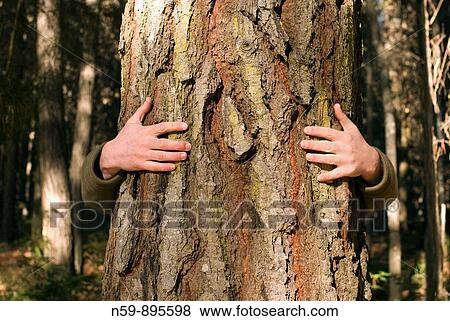 Arms hugging a tree in a forest. View Large Photo Image Stock Photo - Arms hugging a tree in a forest.. Fotosearch