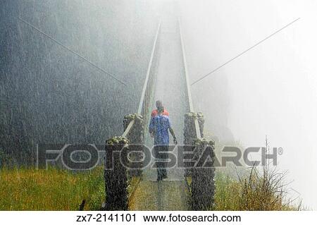 Around Victoria Falls you can walk. View Large Photo Image Stock Image - Around Victoria Falls you can walk.. Fotosearch