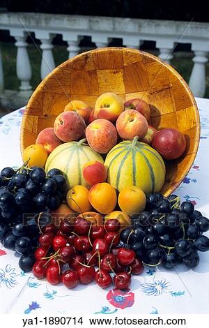 Arrangement of spring fruits, Fruits of summertime, south of France, Europe View Large Photo Image Picture - Arrangement of spring fruits, Fruits of summertime, south of France, Europe. Fotosearch