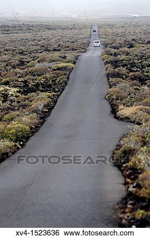 Arrieta landscape on sunset Lanzarote, Canary Islands, Spain View Large Photo Image Stock Photograph - Arrieta landscape on sunset Lanzarote, Canary Islands, Spain. Fotosearch