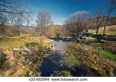 Picture - Arroyo del Aguil? n. Rascafr? a. Madrid province. Spain.. Fotosearch