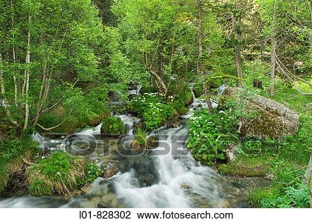 Stock Image - Arroyo en el valle de Benasque (Huesca, Espaa). Fotosearch