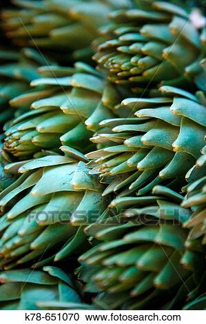 Artichoke, Ballaro Market, Palermo, sicily. View Large Photo Image Stock Image - Artichoke, Ballaro Market, Palermo, sicily.. Fotosearch