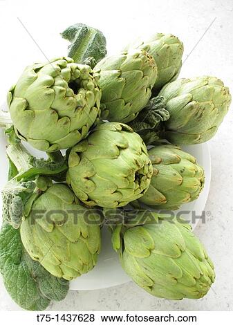 Stock Photo - Artichoke. Fotosearch